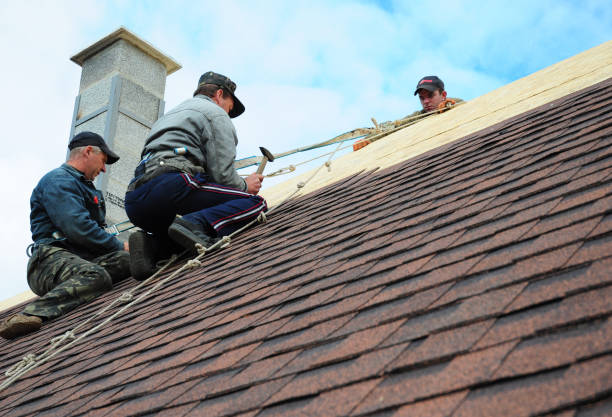 Best Roof Maintenance Services  in Hortonville, WI
